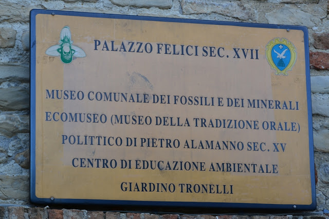 MUSEO-FOSSILI-MONTEFALCONE-APPENNINO