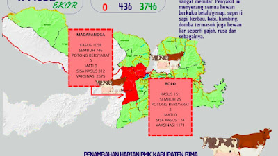 Sudah 1.209 Ternak di Kabupaten Bima Terjangkit PMK