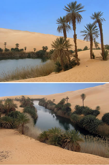 8 Oasis Cantik di Gurun Pasir(bambang-gene.blogspot.com)