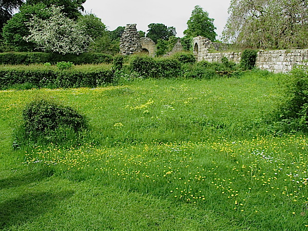 Jervaulx Abbey