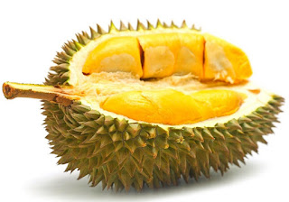 Durian, the King of fruits in Thailand