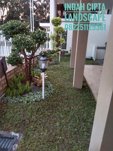 Jasa tukang taman sidoarjo