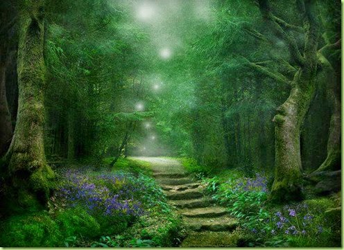 forest