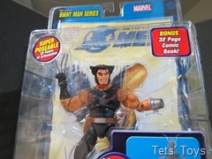 Marvel Legends AOA Wolverine