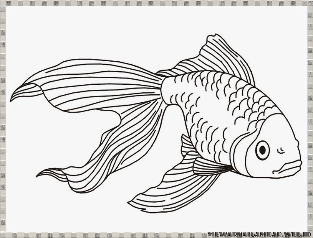 Sketsa Gambar  Kolase Ikan  Sobsketsa