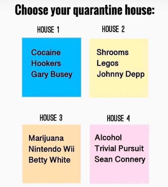 Choose your house,,,