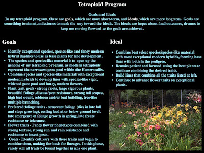 Tetraplod Program Slide