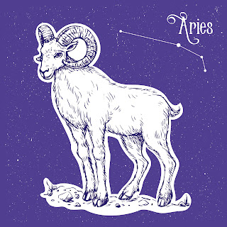 NYOTA YA PUNDA: ARIES