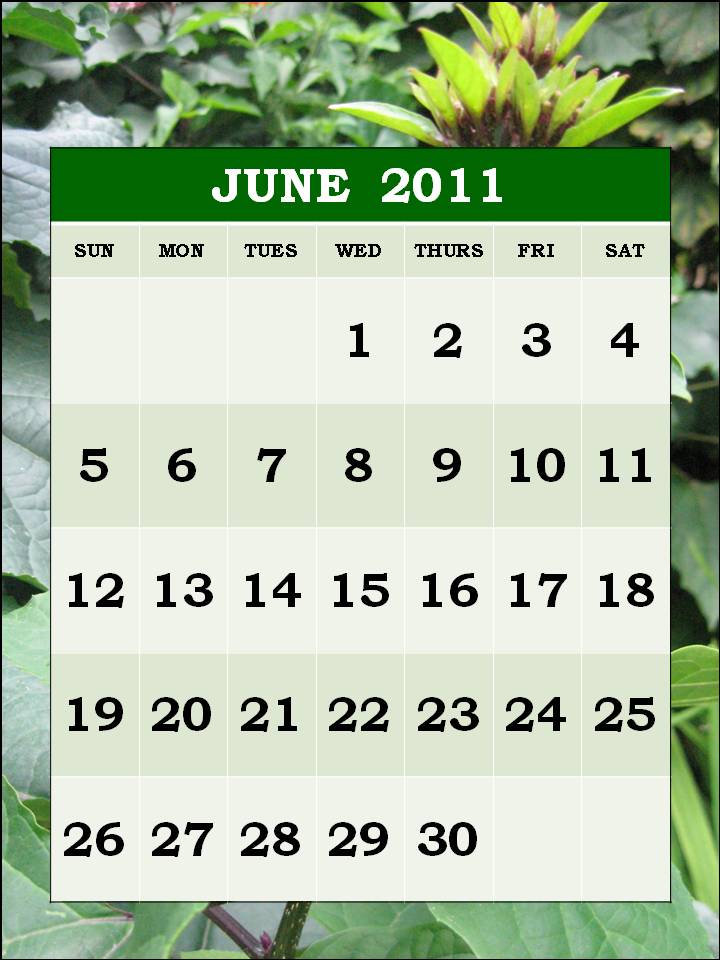 june calendar 2011 printable. june 2011 calendar printable