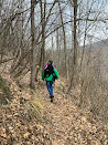 In the woods above Monterosso - Bergamo