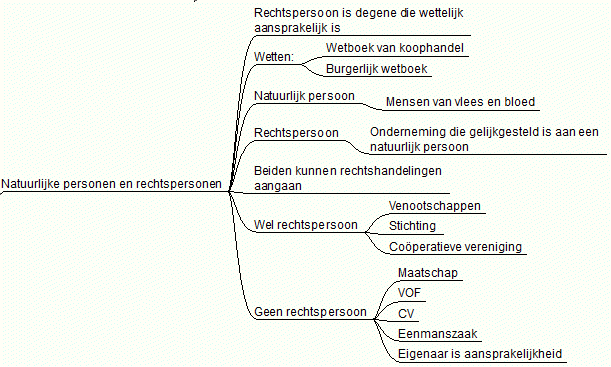 Samenvatting Rechtspersoon