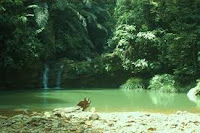 brunei Wasai waterfall 