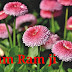 Top 10 Ram Ram Ji Images greeting Pictures,Photos for Whatsapp