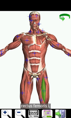 Visual Anatomy Free