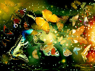 Wallpaper kupu-kupu cantik terbaru