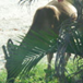 View album