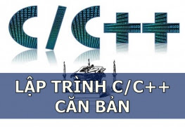 Viết chương trình giải phương trình bậc nhất