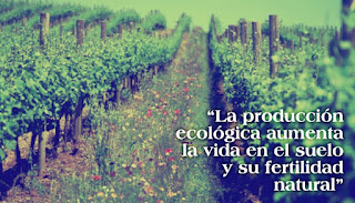 Frases sobre Biodiversidad