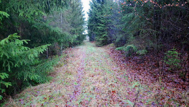 Sauerland wandern Wetter blog Meschede