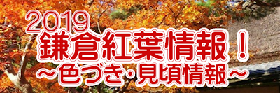 2019鎌倉：紅葉情報