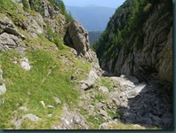 DSCN3232