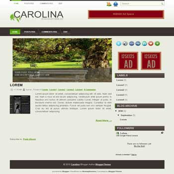 carolina blogger template convert wordpress theme to blogger template with image slideshow template