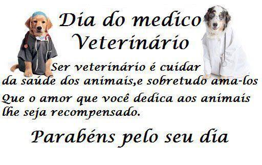 Veterinários - chuva ou faça sol, são eles que estão sempre prontos para cuidar do nosso melhor amigo! Parabéns a todos esses profissionais tão queridos!