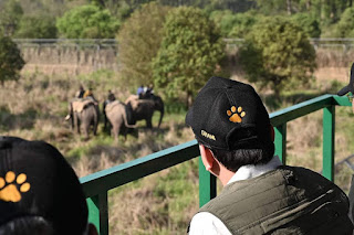 CM Dhami at safari in rajaji national park