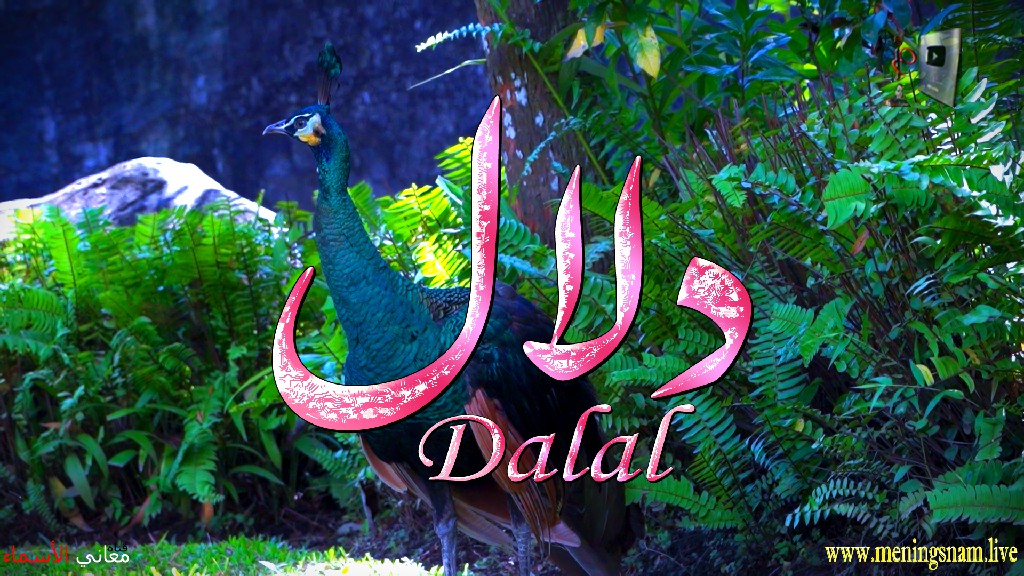 معنى اسم, دلال, وصفات, حاملة, هذا الاسم, Dalal,