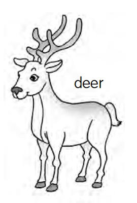 Deer