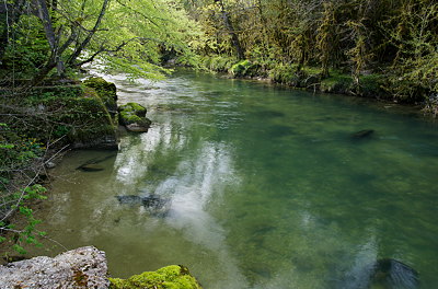 Springtime greenery along Semine river