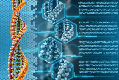 Otak Perempuan Banyak Terkontaminasi Dna Laki-laki [ www.BlogApaAja.com ]