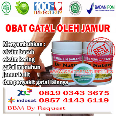 OBAT GATAL OLEH JAMUR