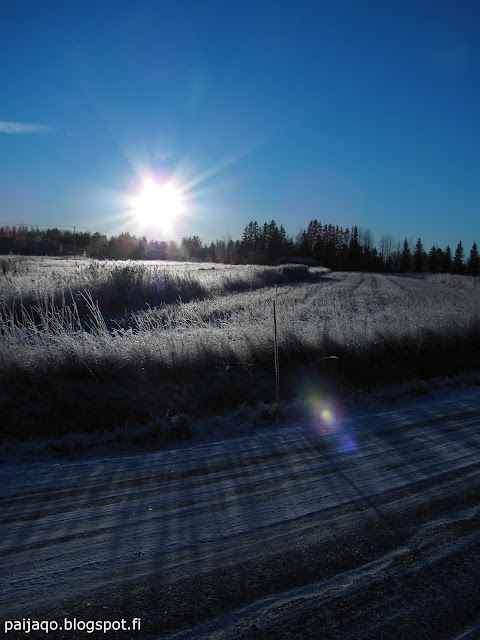 talviaurinko