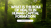  What is the role of health in human capital formation