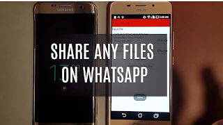 How to send unsupported files on whatsapp using steg app