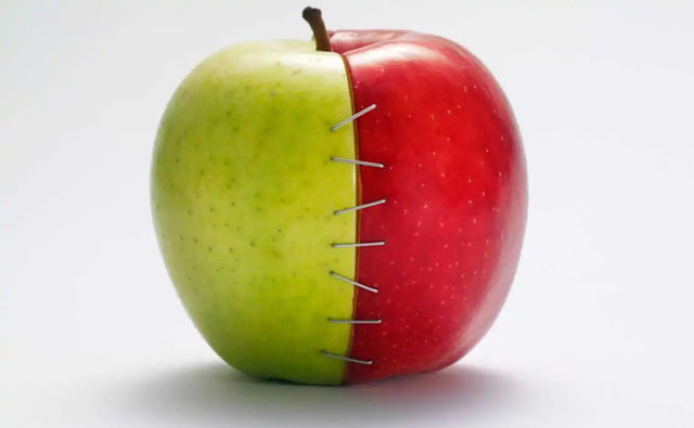 bir elmanın yarısı o, yarısı bu