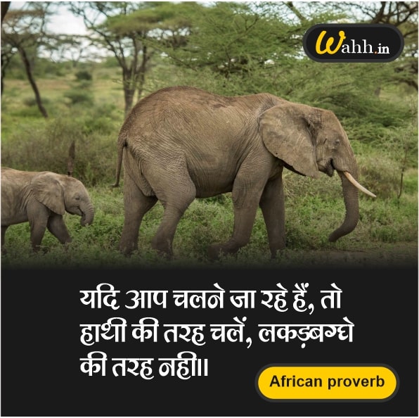 Motivational Elephant Quotes In Hindi