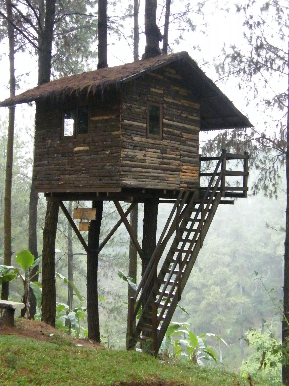 CECEP ASIANA SIANTARA TAHUN BARUAN DI RUMAH POHON Taman 