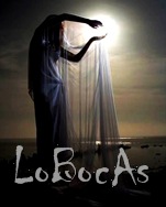 LoBocAs2011-1