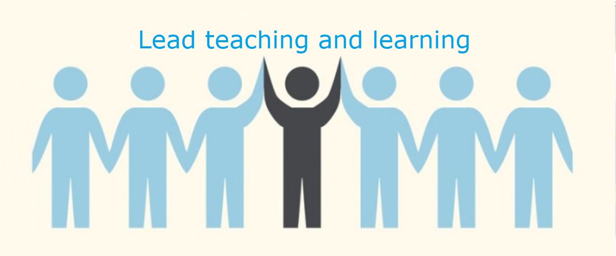 Lead teaching and learning