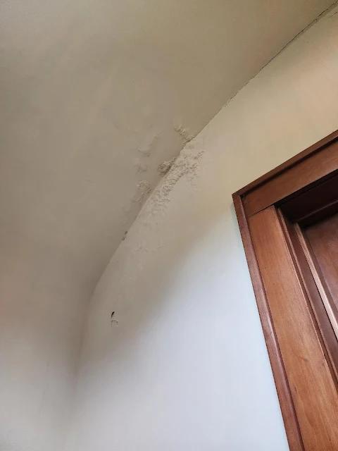 plaster ceiling water damage