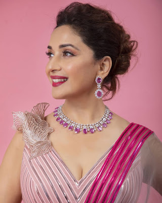 Madhuri Dixit Latest photo Top 10 Photos