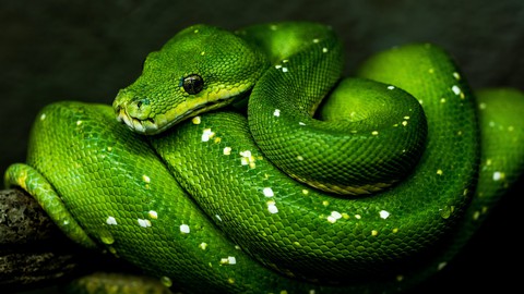 [EXPIRED][Free Udemy Course] Complete Python Course : from Beginner to Intermediate