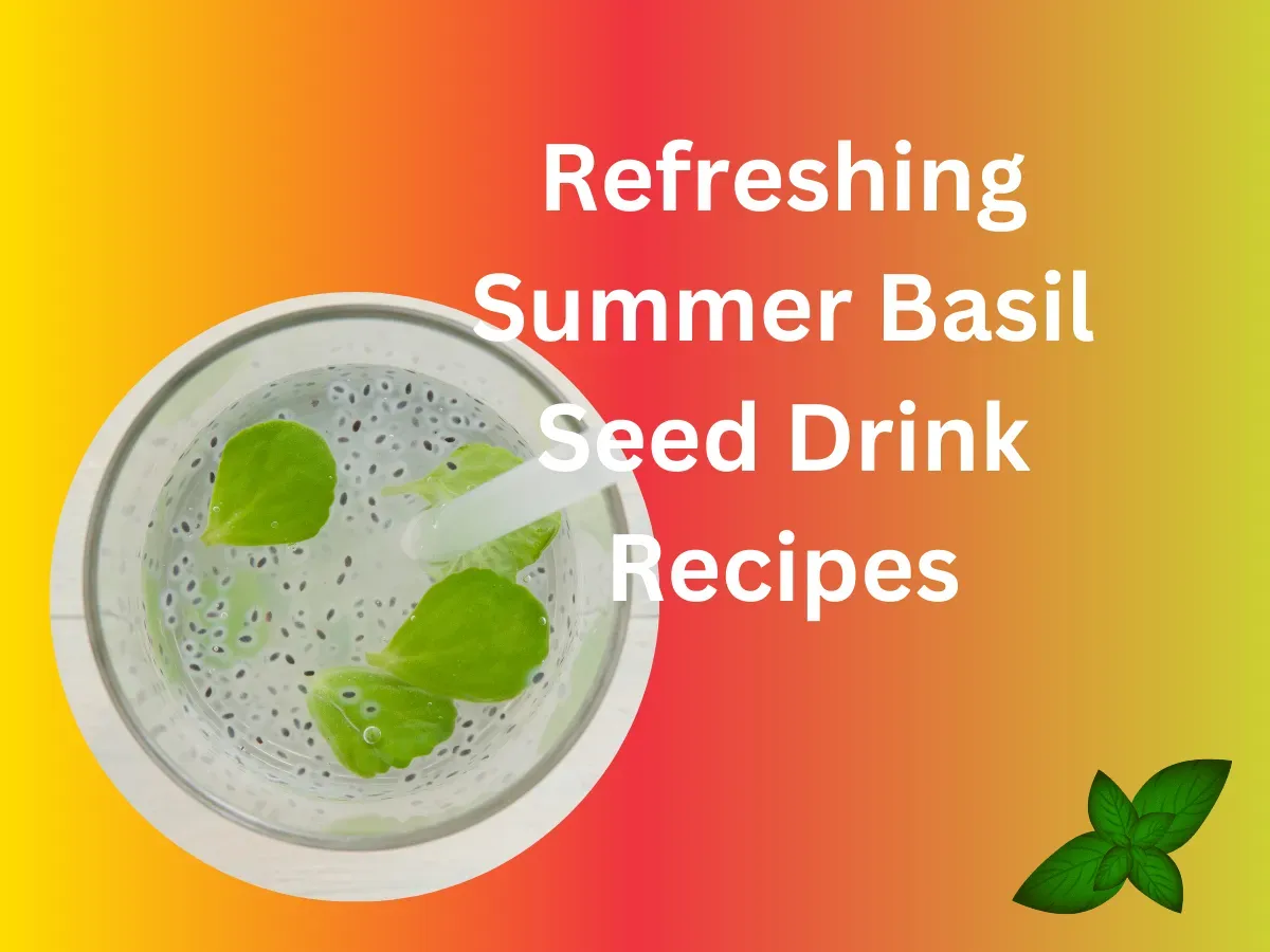 Basil Seed Drink,Basil Seeds,Refreshing Beverage