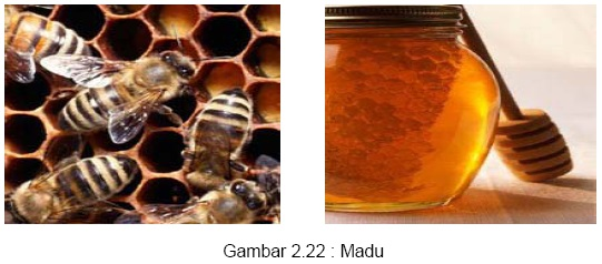 Pengenalan Bahan Dasar Patiseri Gula