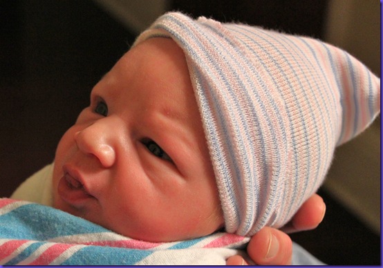 Noah1