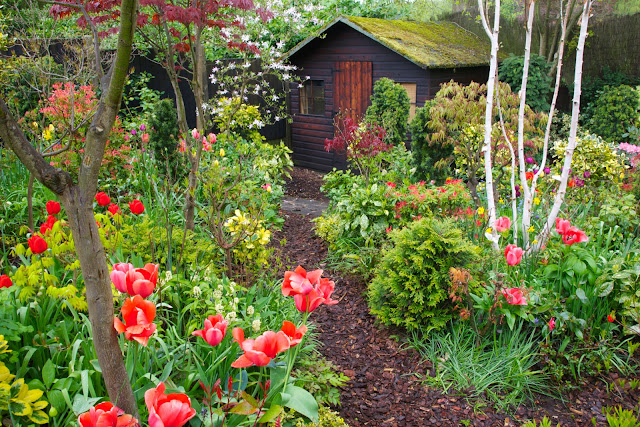 Our garden shed in spring