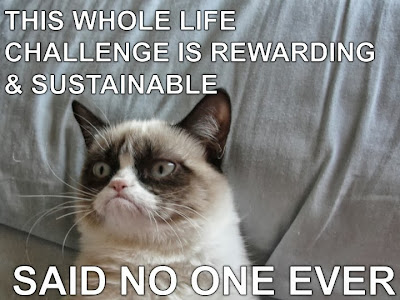 Grumpy Cat Whole Life Challenge