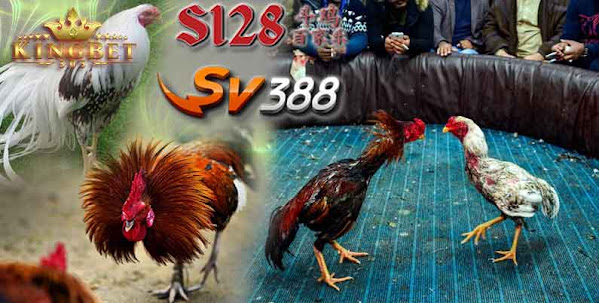 Agen Sv388 Judi Online Sabung Ayam Terpercaya 100% Di Indonesia